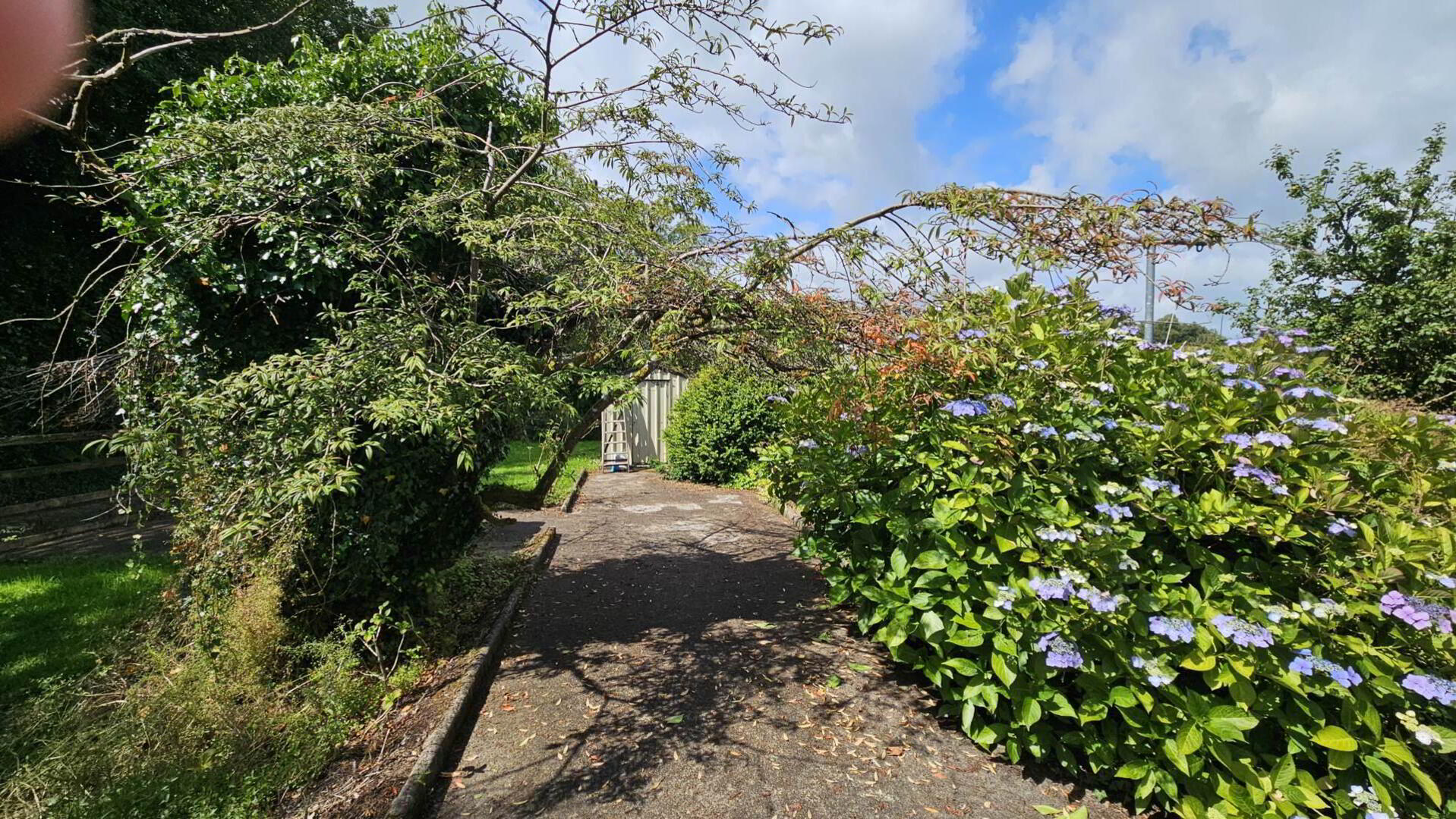 Kilross 28 of 29
