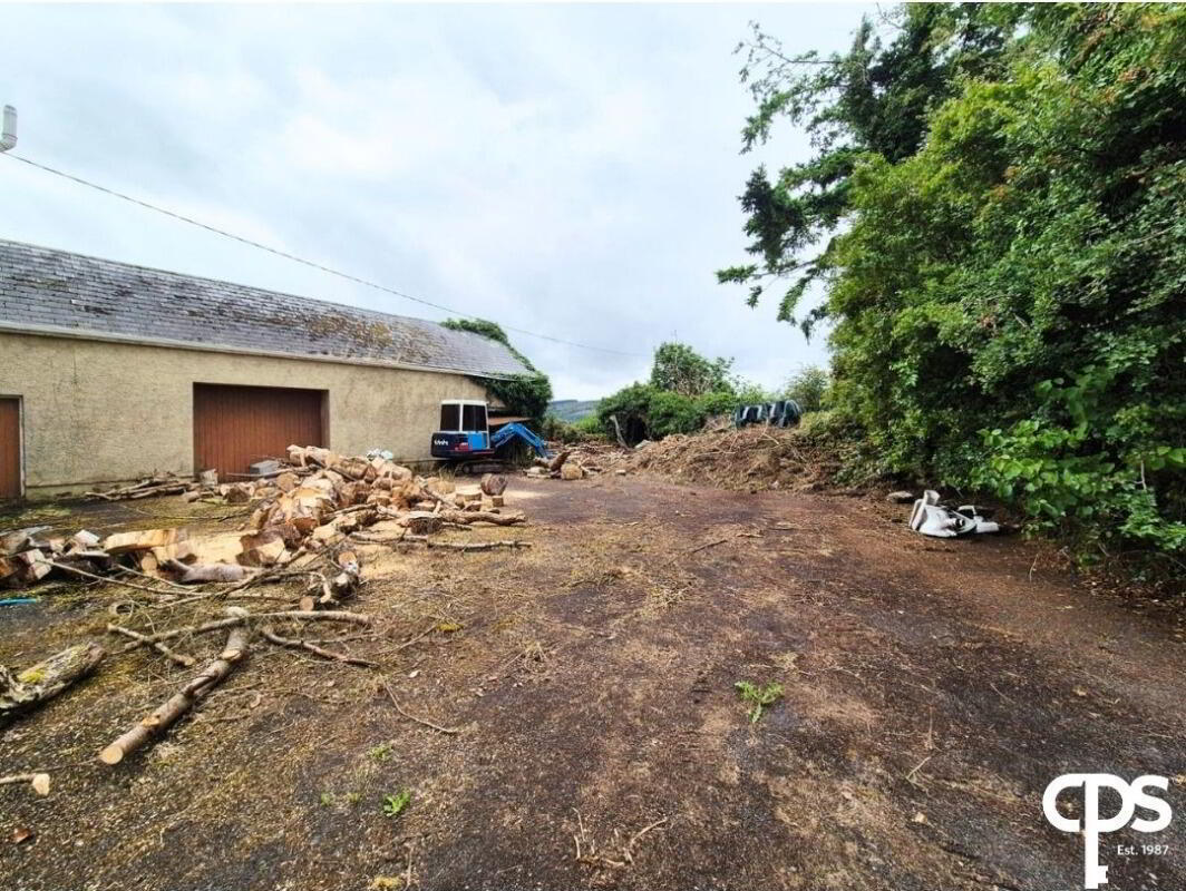 6 Willmount Road 7 of 7