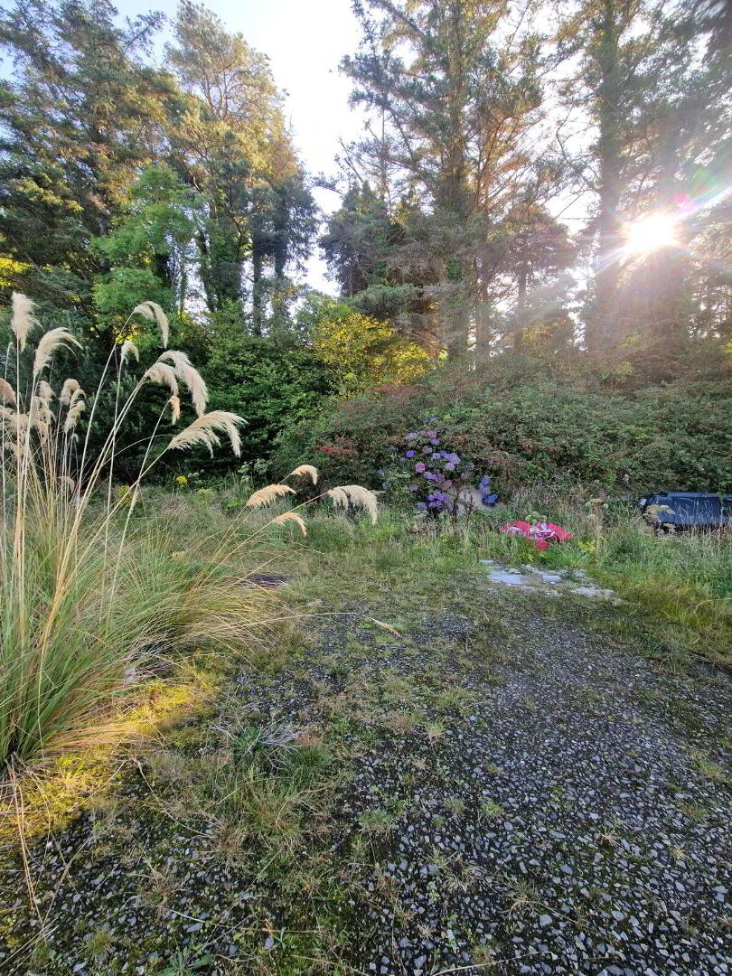 Cashel 27 of 28