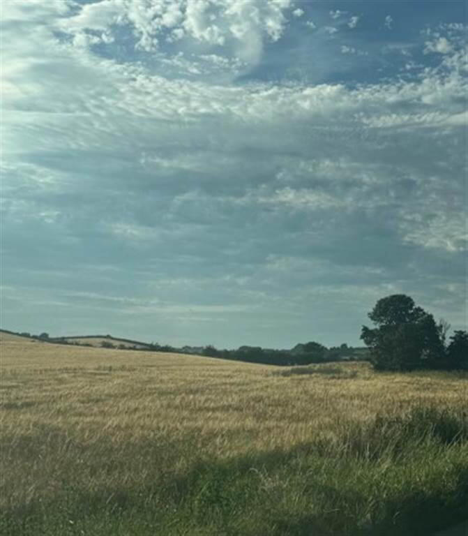 Circa 89 Acres Of Land At, Ballyhornan Road 7 of 8