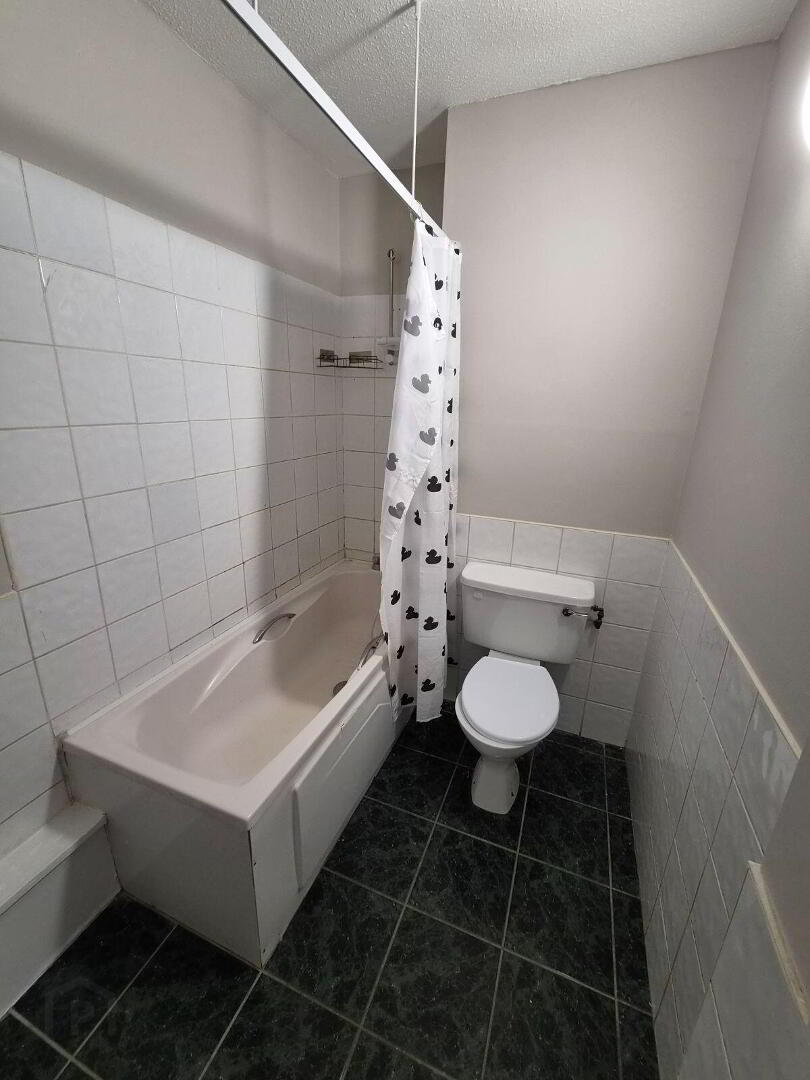 Apartment 206 Richmond Court 11 of 12