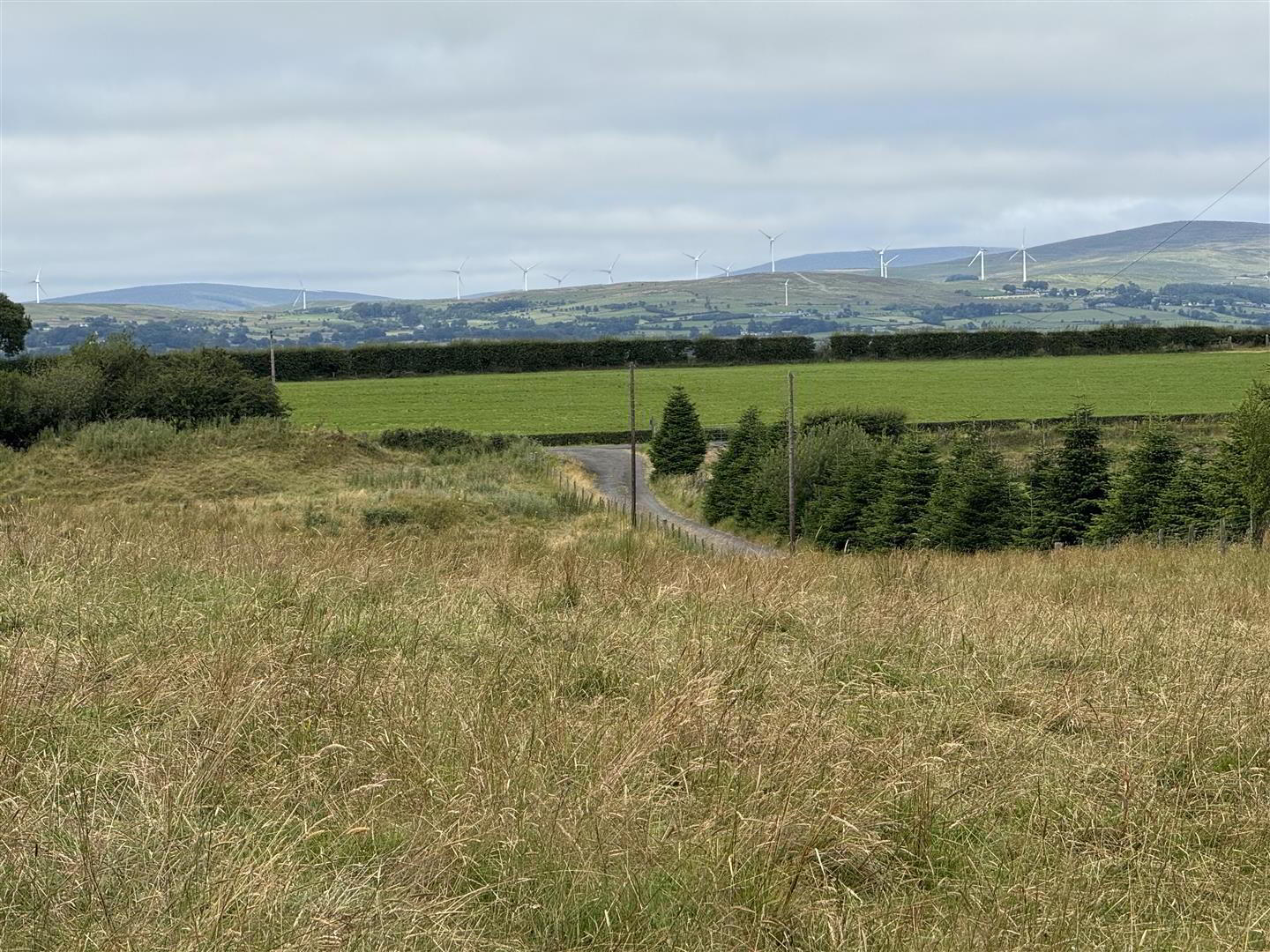 15 Lisnahilt Road 40 of 41