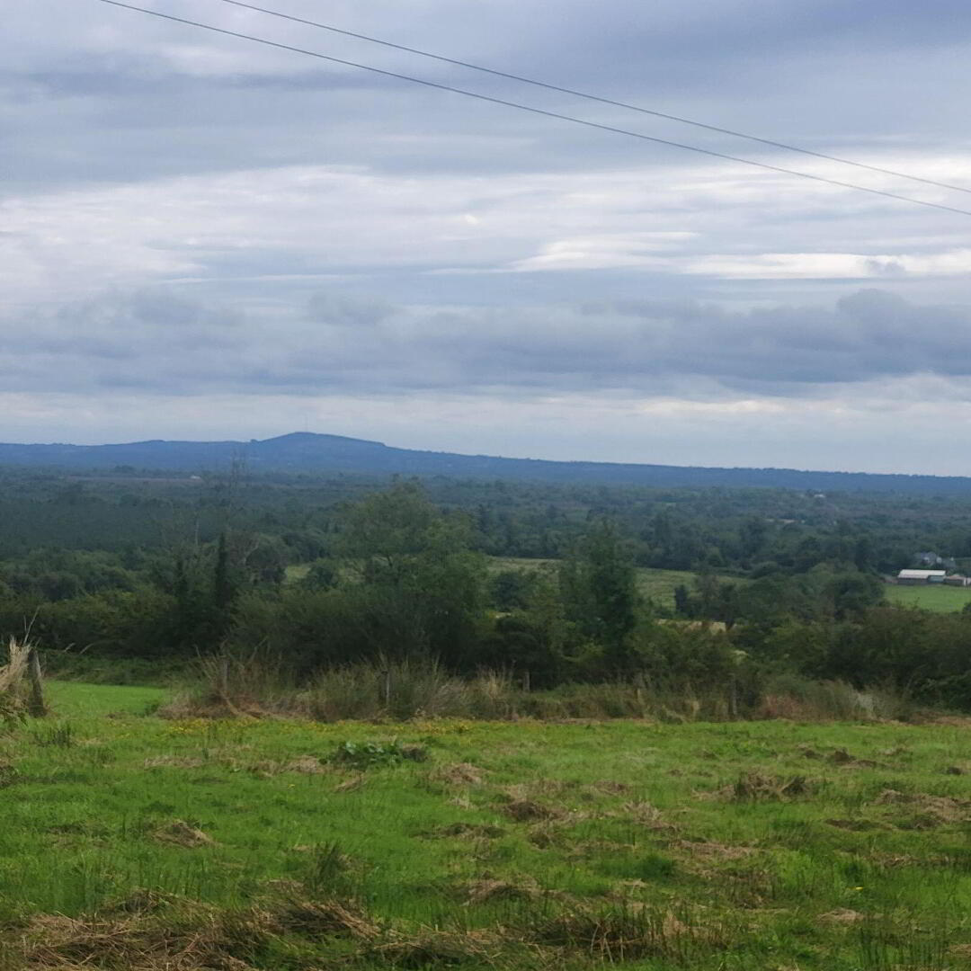 Culleenaghamore 3 of 4
