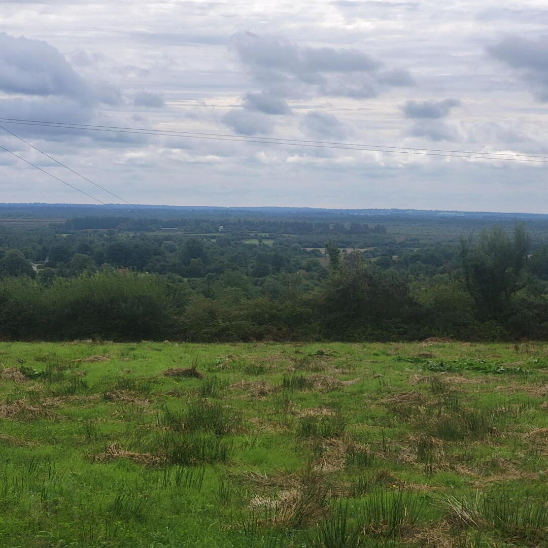 Culleenaghamore 4 of 4