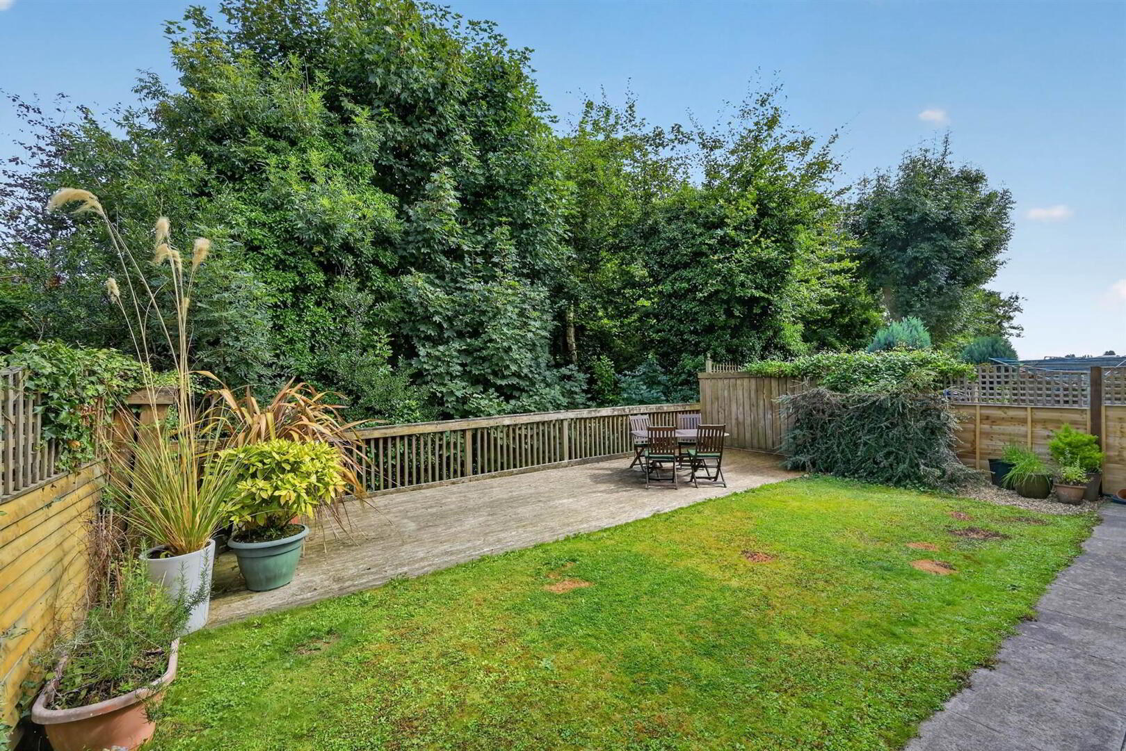 21 Whitecherry Lane 23 of 24