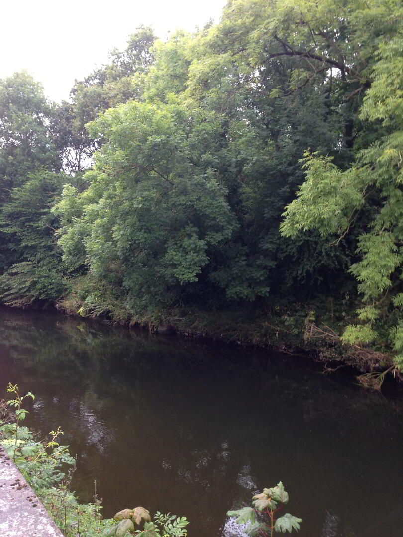 Alexandra Park 15 of 15