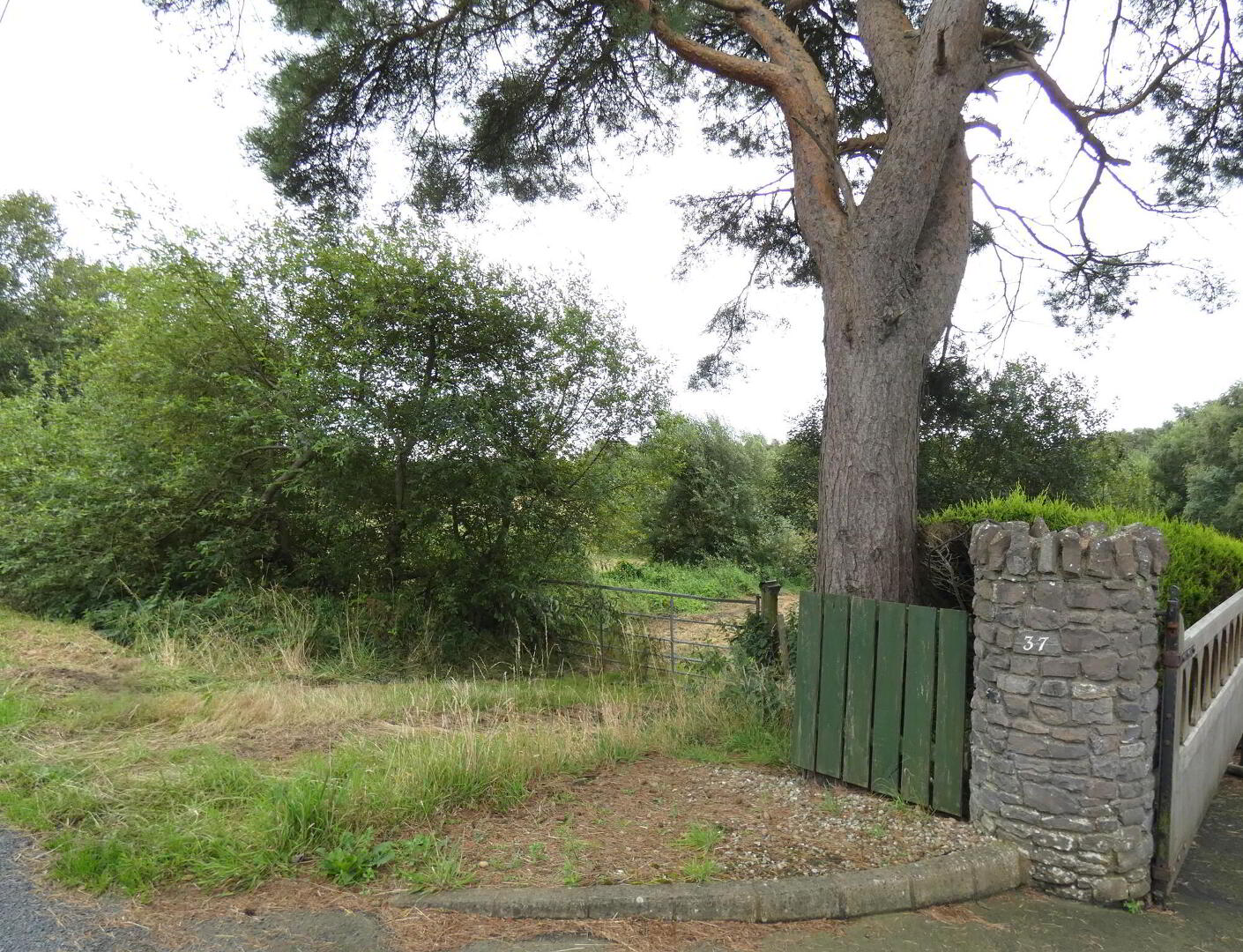 Land Ballindreen Road 3 of 8