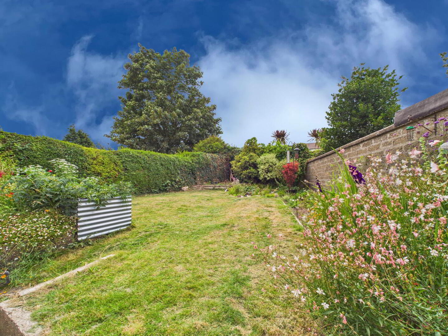 24 Leamy Street 25 of 26