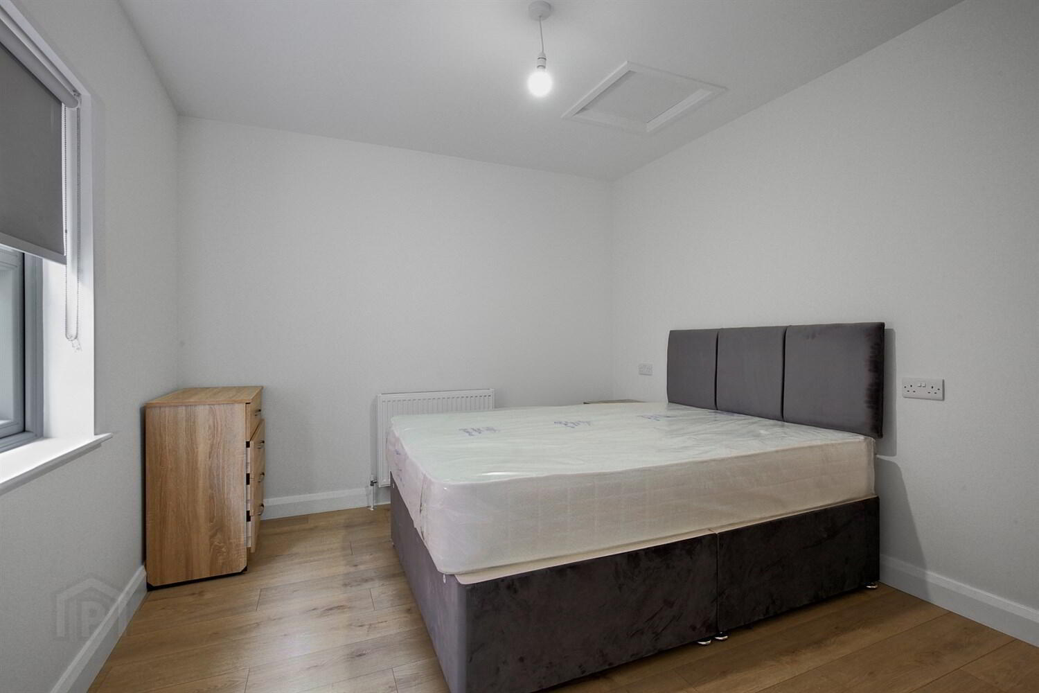 81b Botanic Avenue 10 of 11