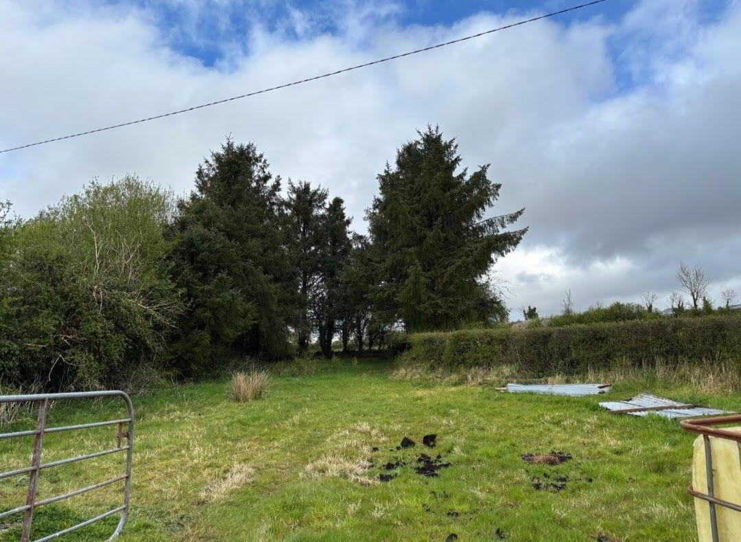 Leitrim Lower 25 of 26