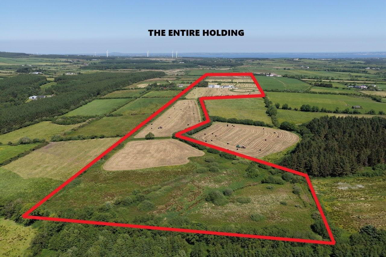 46.3 Acres, Residential Holding Kilgarvan 1 of 45