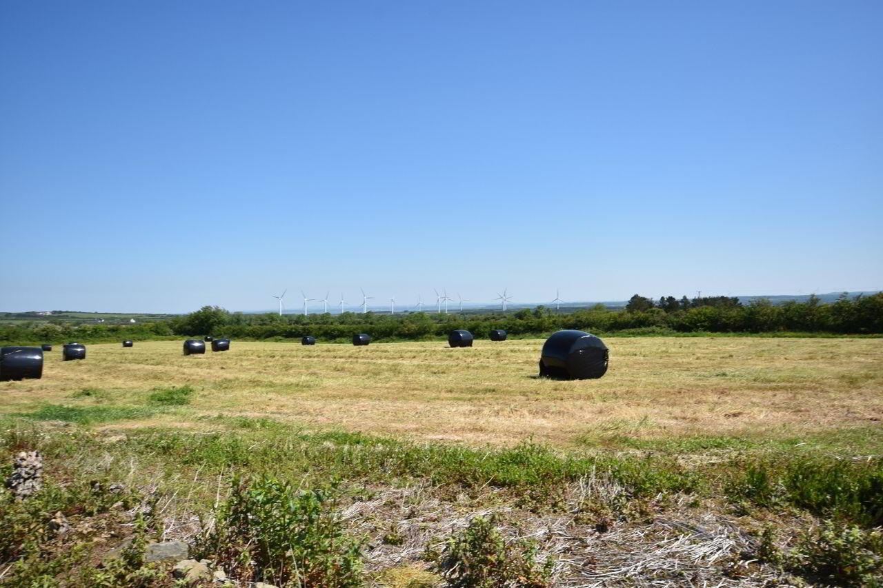 46.3 Acres, Residential Holding Kilgarvan 44 of 45