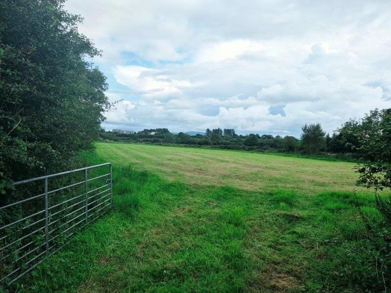 Silverhill 3 of 6