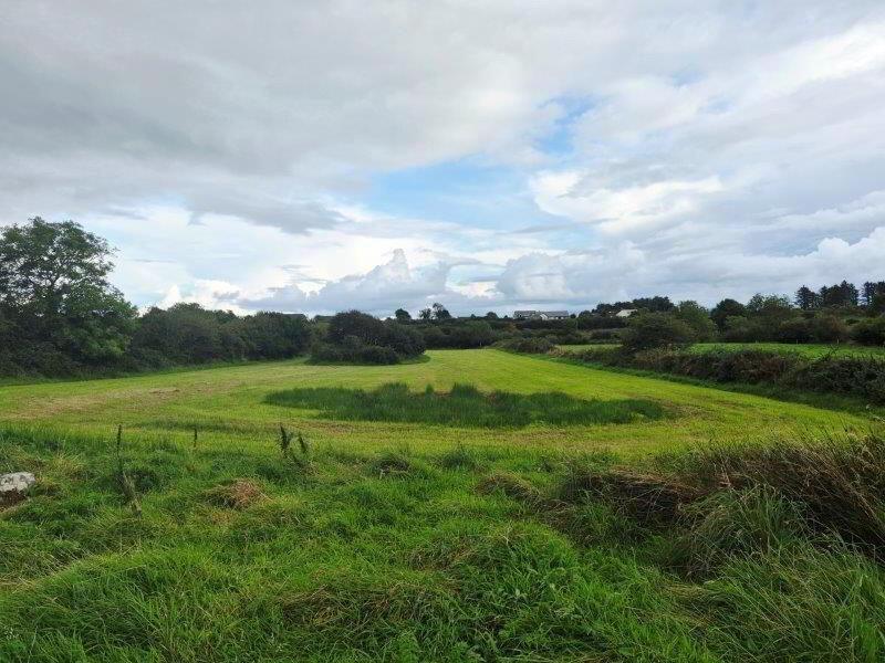 Silverhill 5 of 6