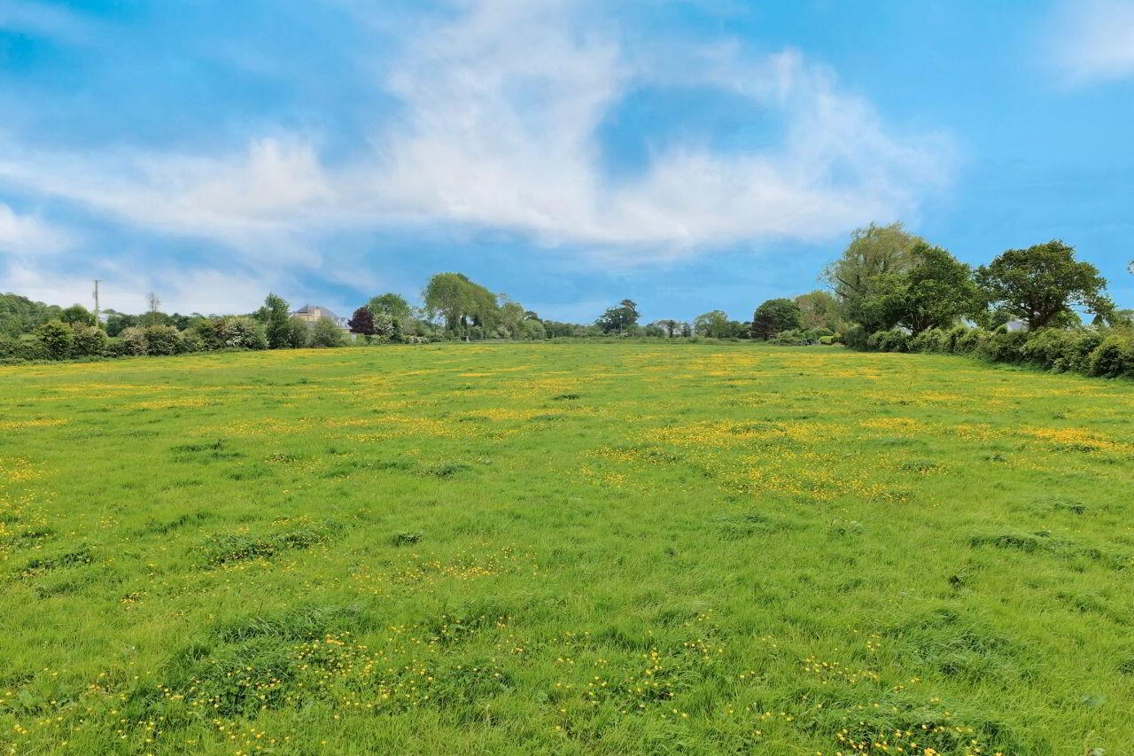 LOT 1) 7.9 Acres At Tanavalla 7 of 7