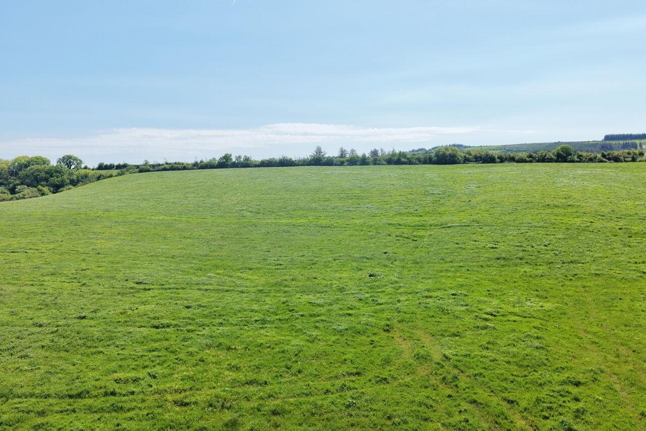 LOT 3) - 22.4 Acres At Mountcoal 5 of 6