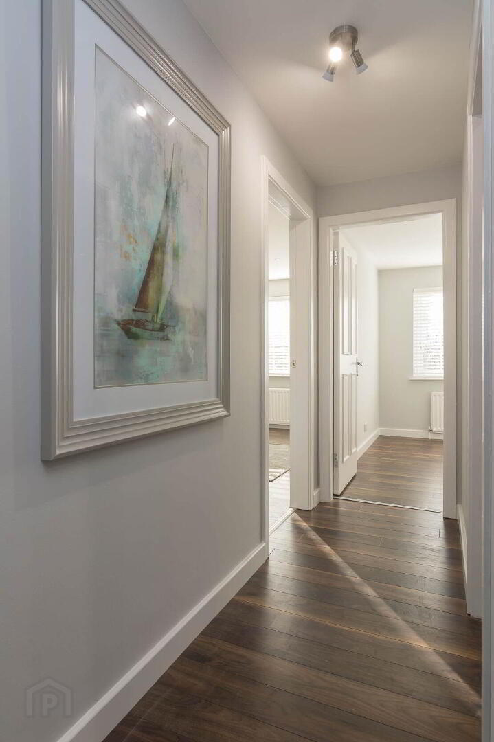 3 Deramore Court, 77 Deramore Park South 3 of 11
