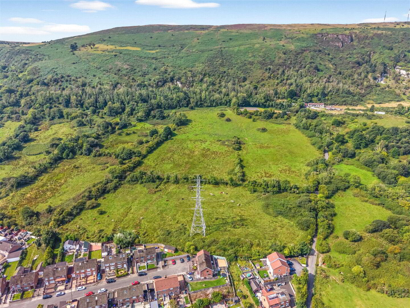 C. 13.5 Acres On Black Mountain 1 of 7