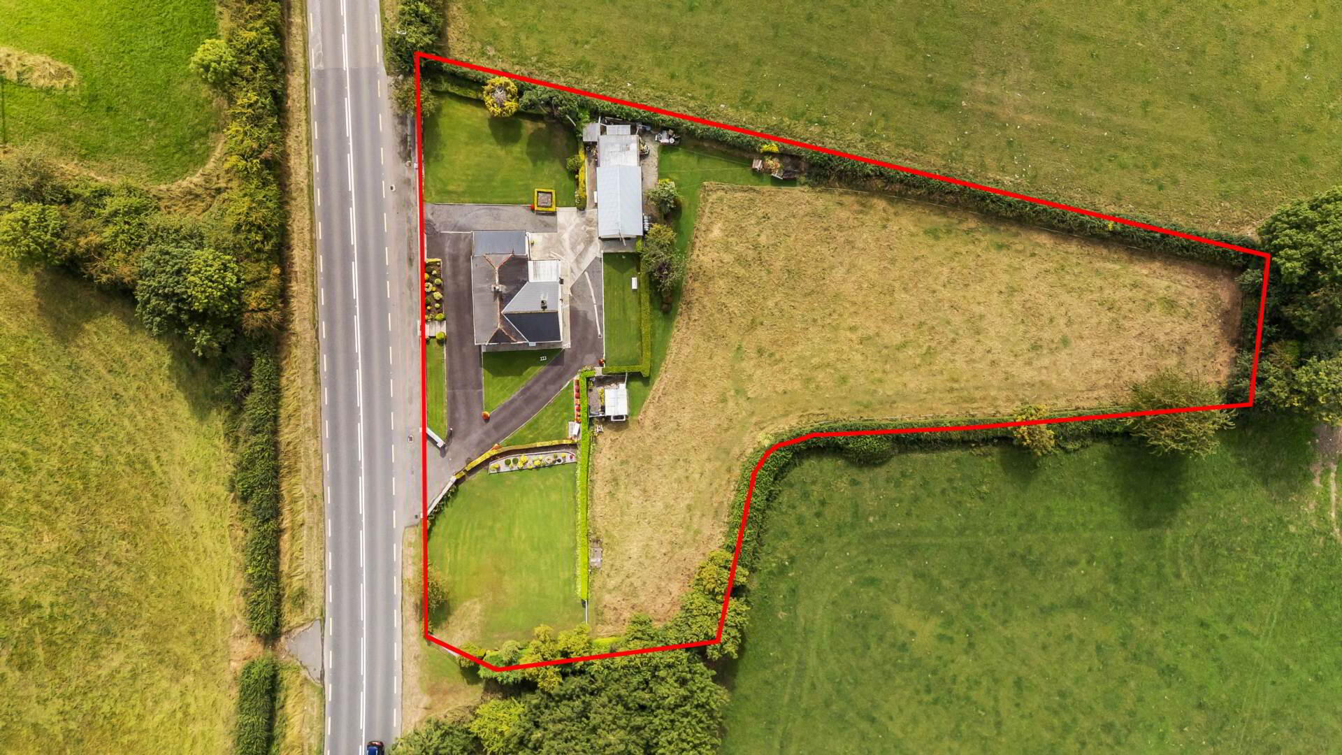 Clontail 12 of 13