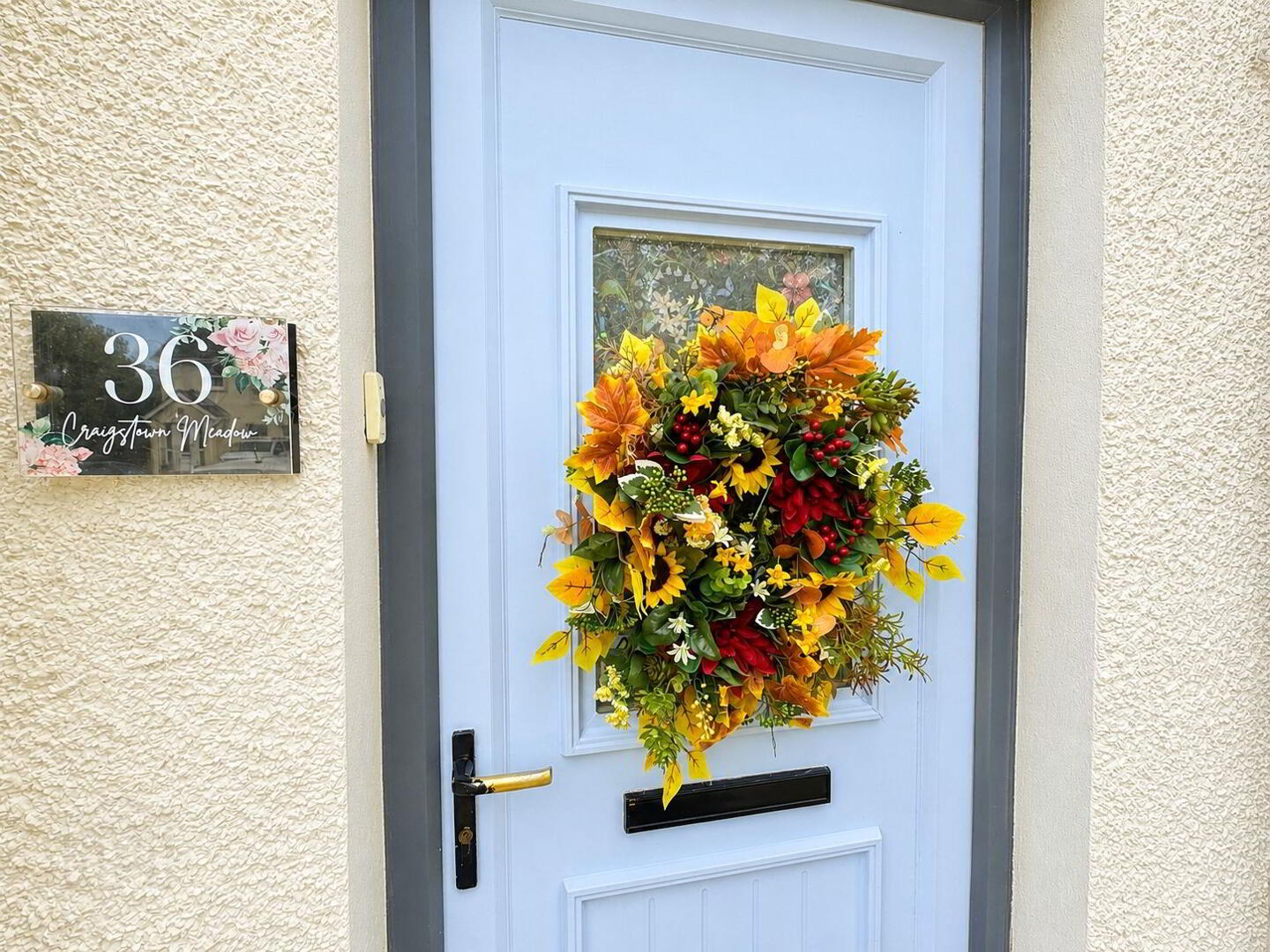 36 Craigstown Meadow 2 of 15