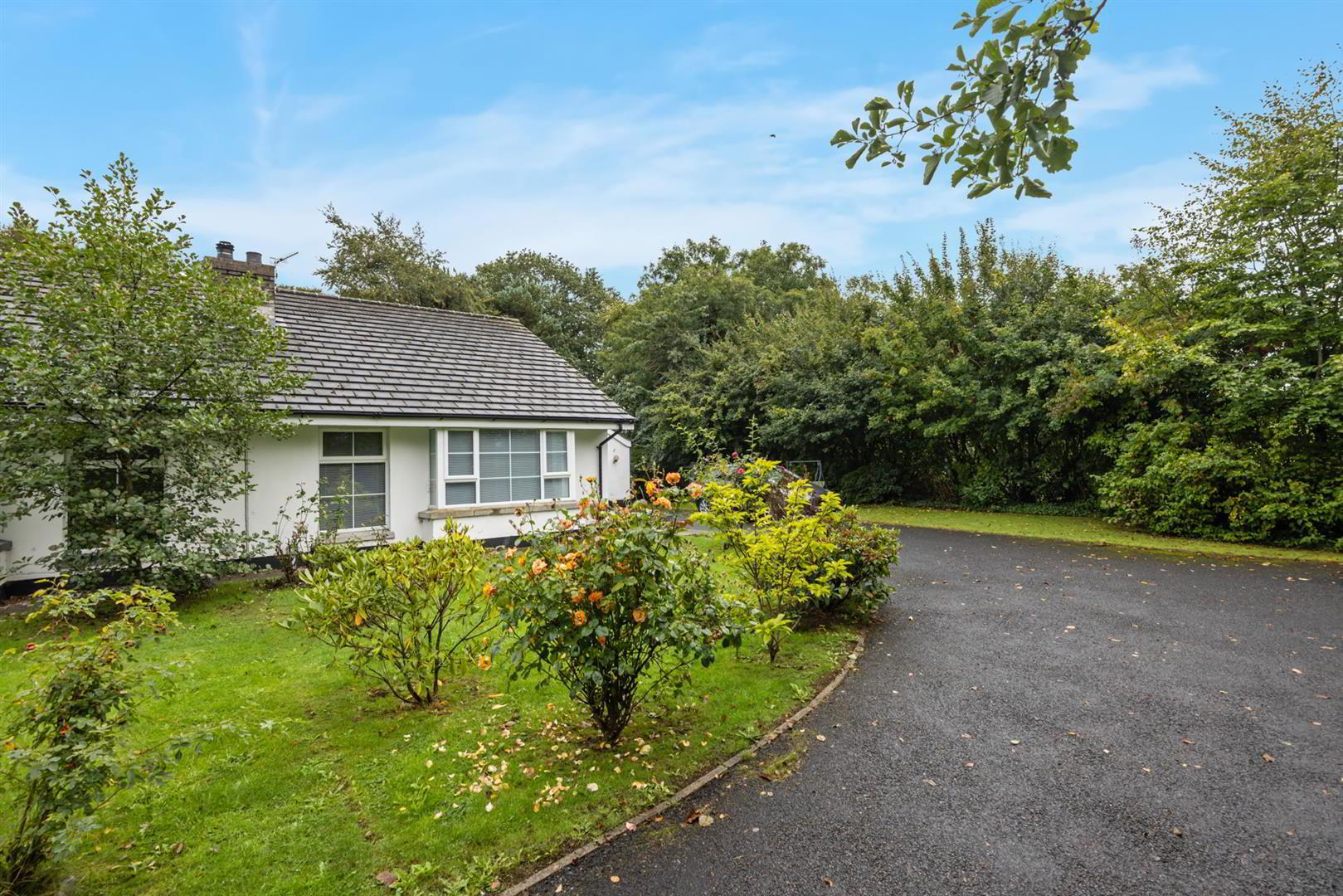 61 Millmount Lane 3 of 24
