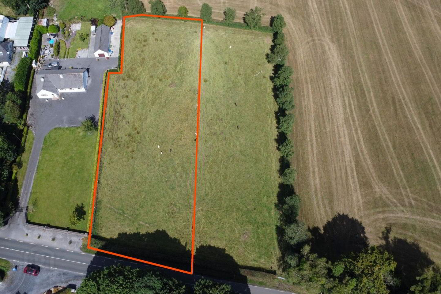 Site B Loughnavalley 1 of 4