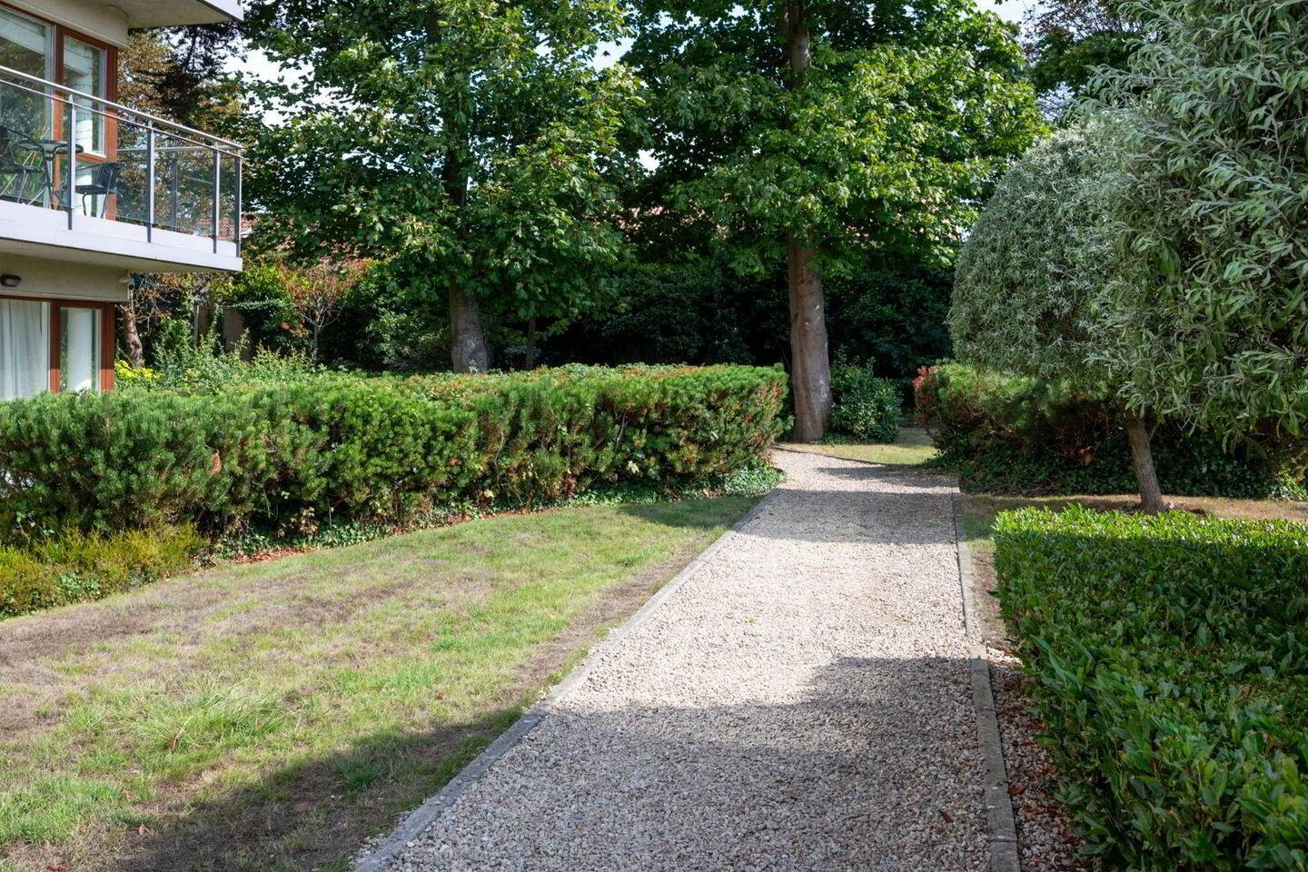 Apartment 3 Kelston Hall 20 of 21