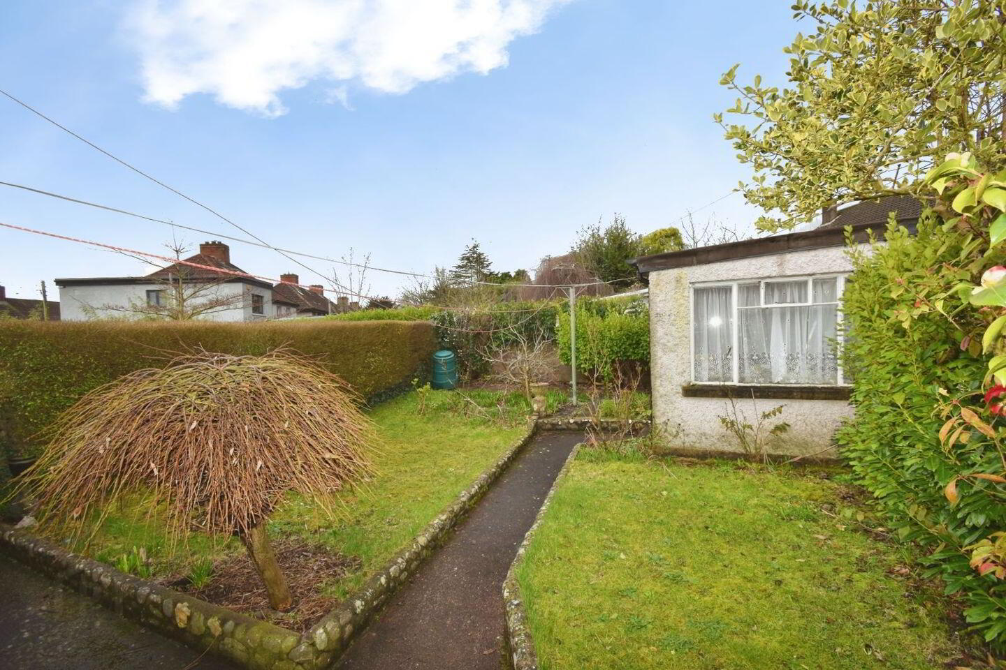 44 Whitethorn 14 of 15