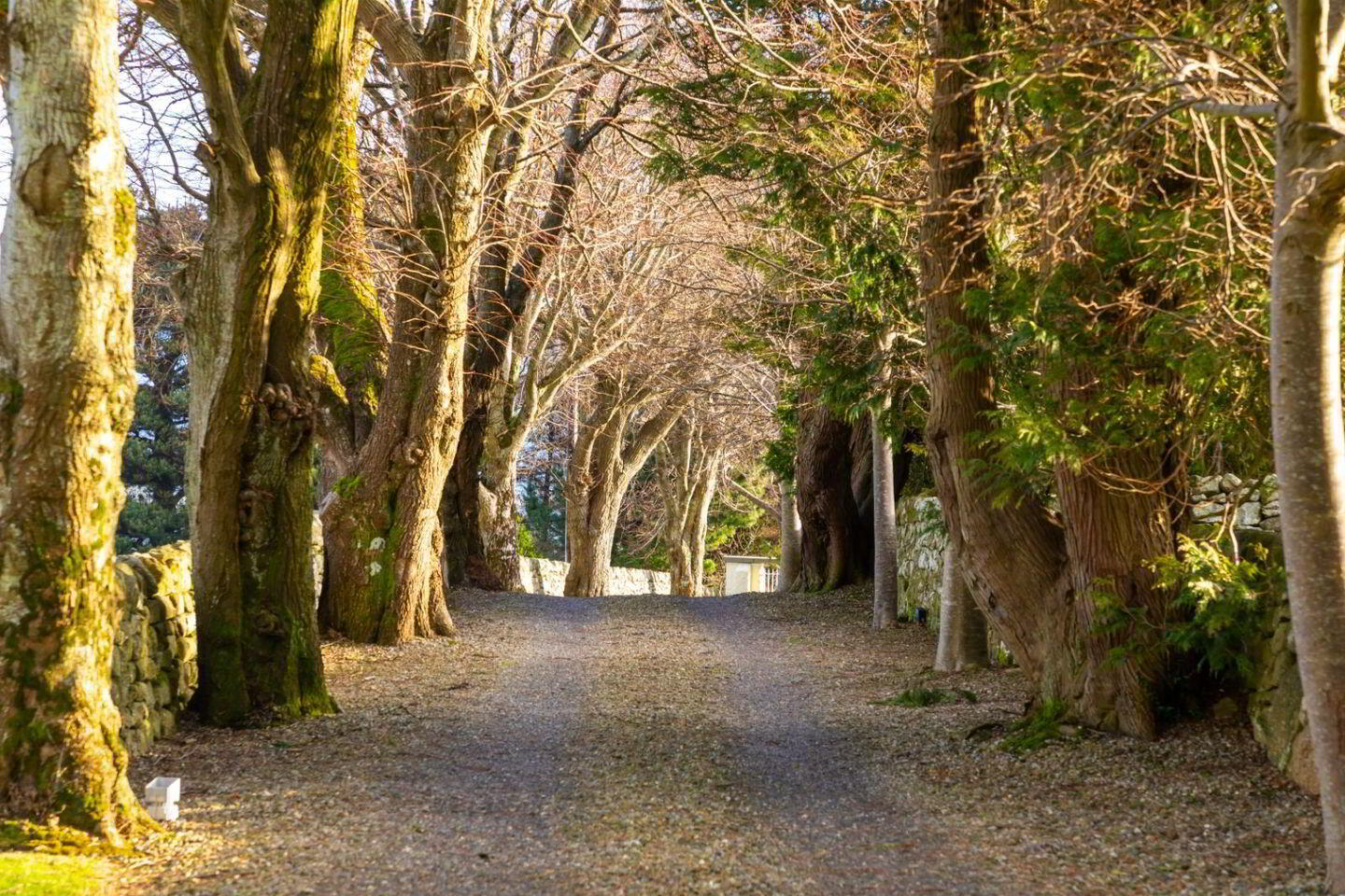 Ballybetagh House, Ballybetagh Road 2 of 50