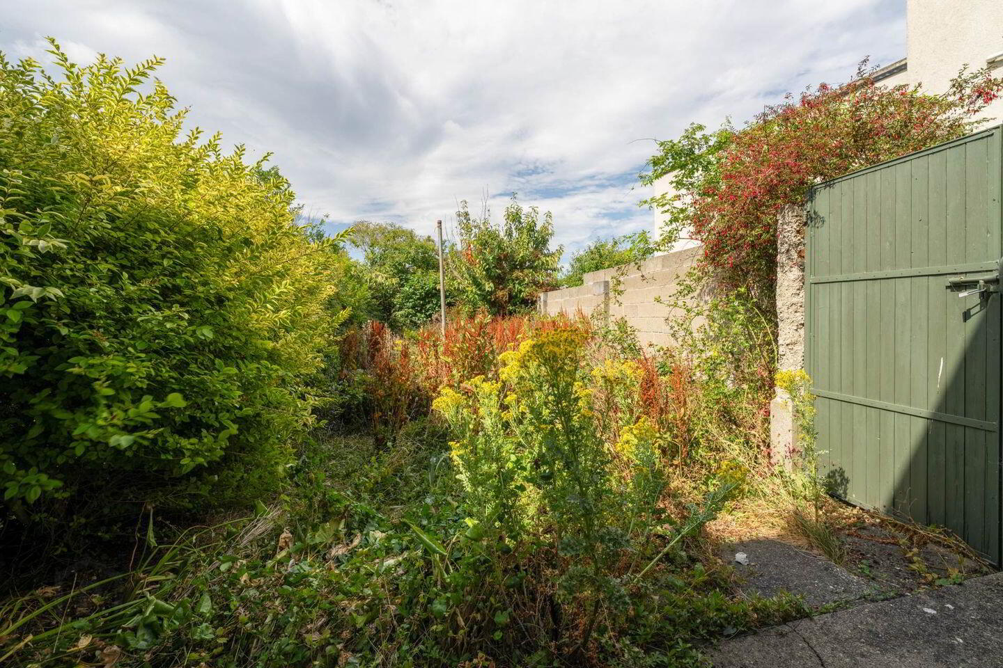 168 Killester Avenue 15 of 16