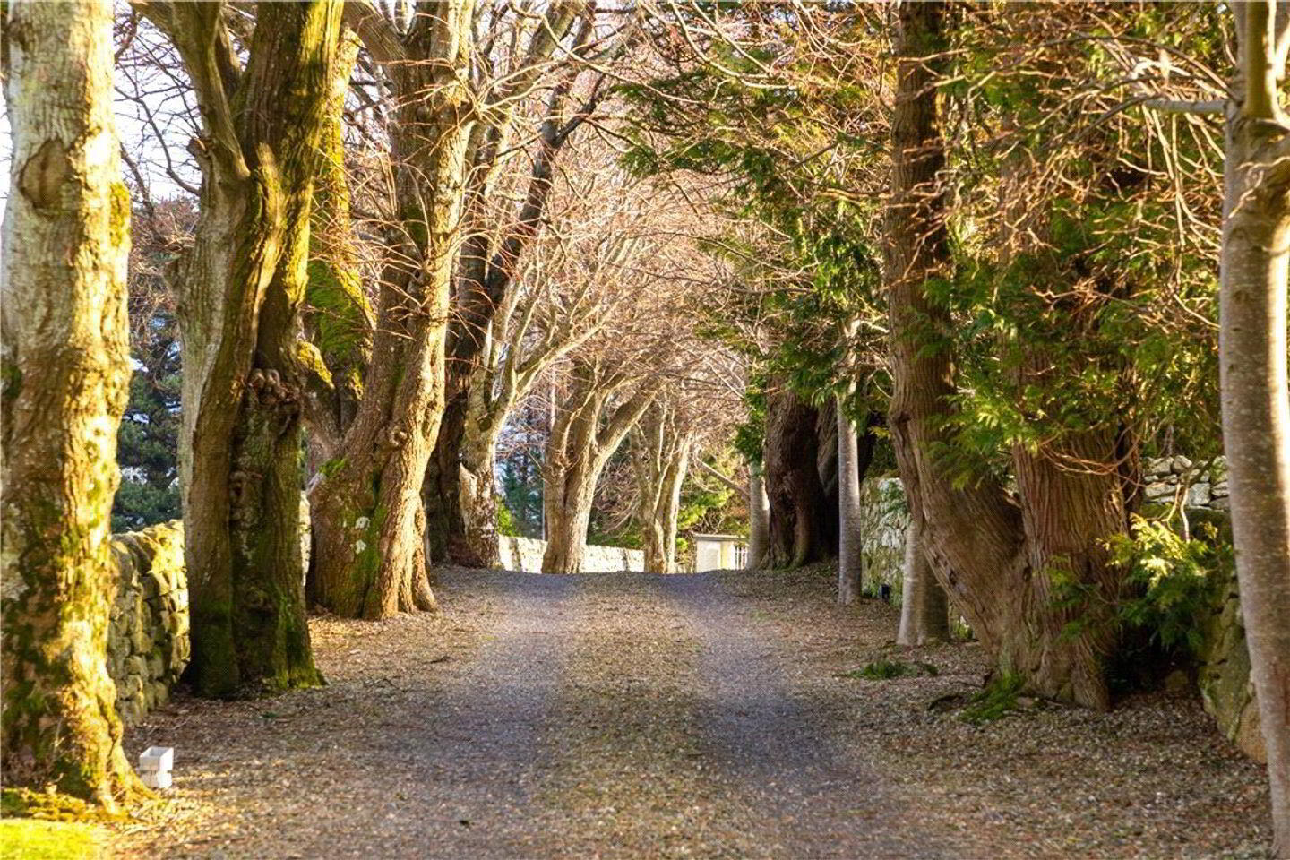 Ballybetagh House, Ballybetagh Road 3 of 47
