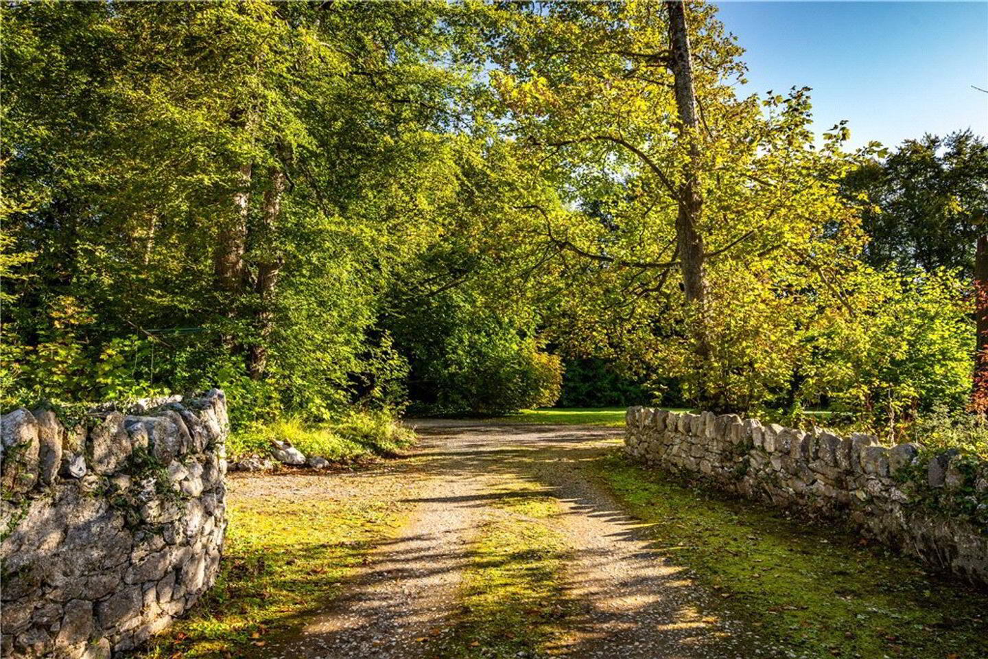 The Old Rectory, Ballywilliam 3 of 71