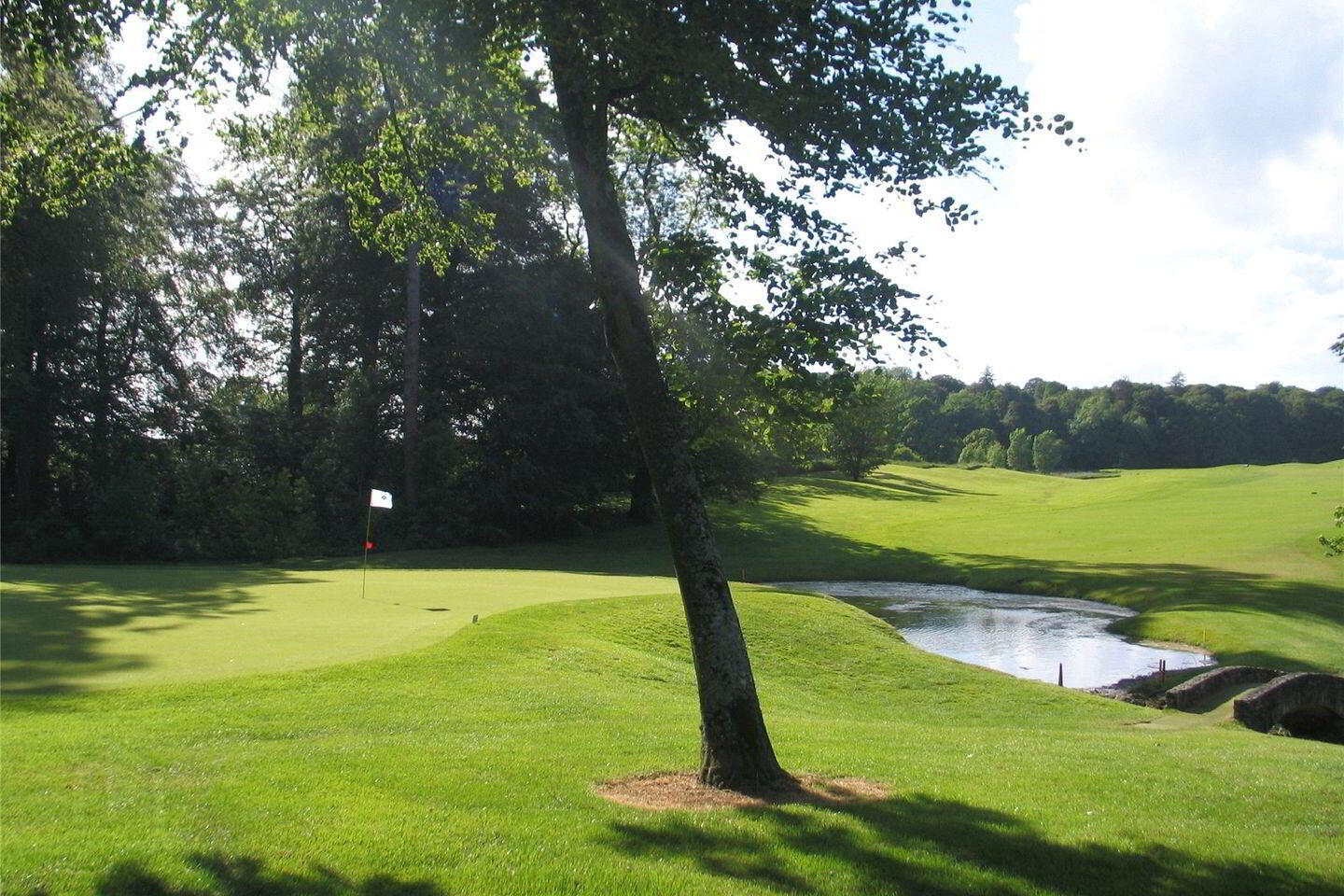 17 Walton's Grove 50 of 51