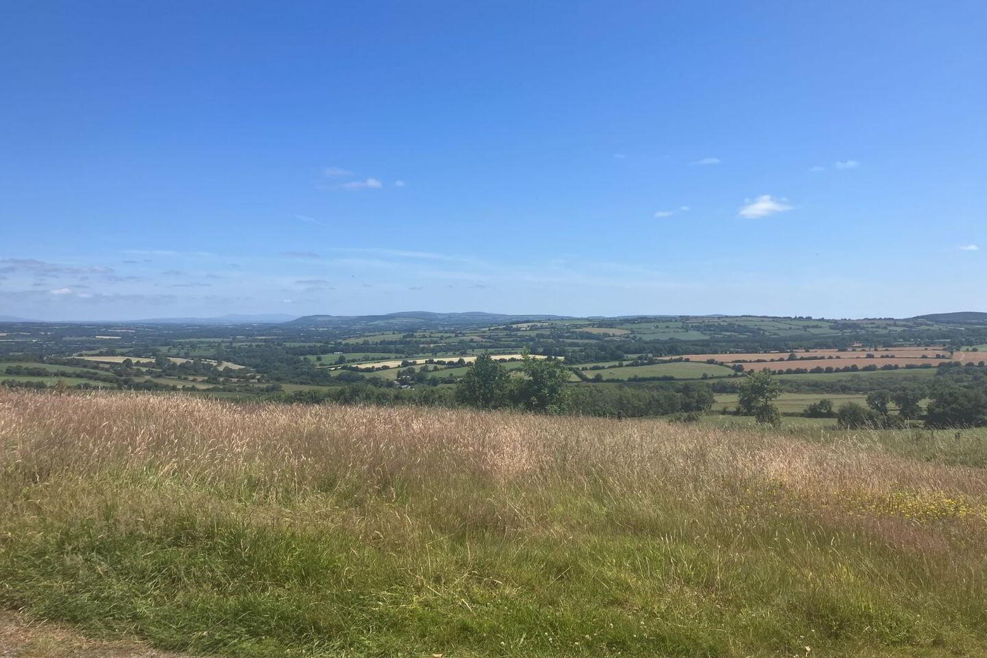 Residence On, C. 39 Acres At Ballynoe 21 of 22
