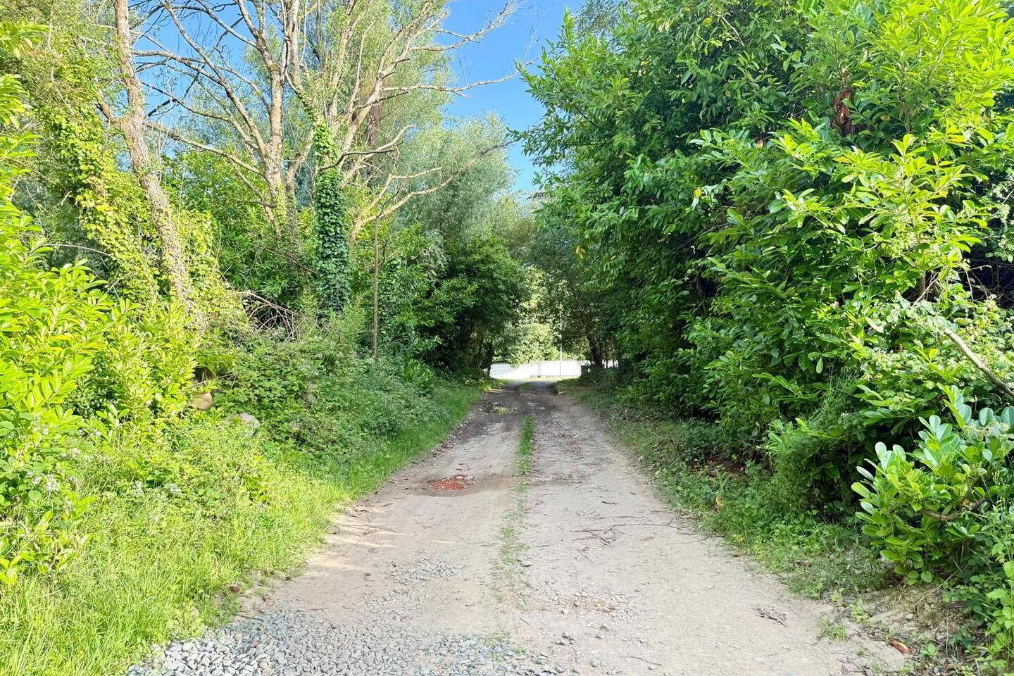 Orchard Lane 26 of 27