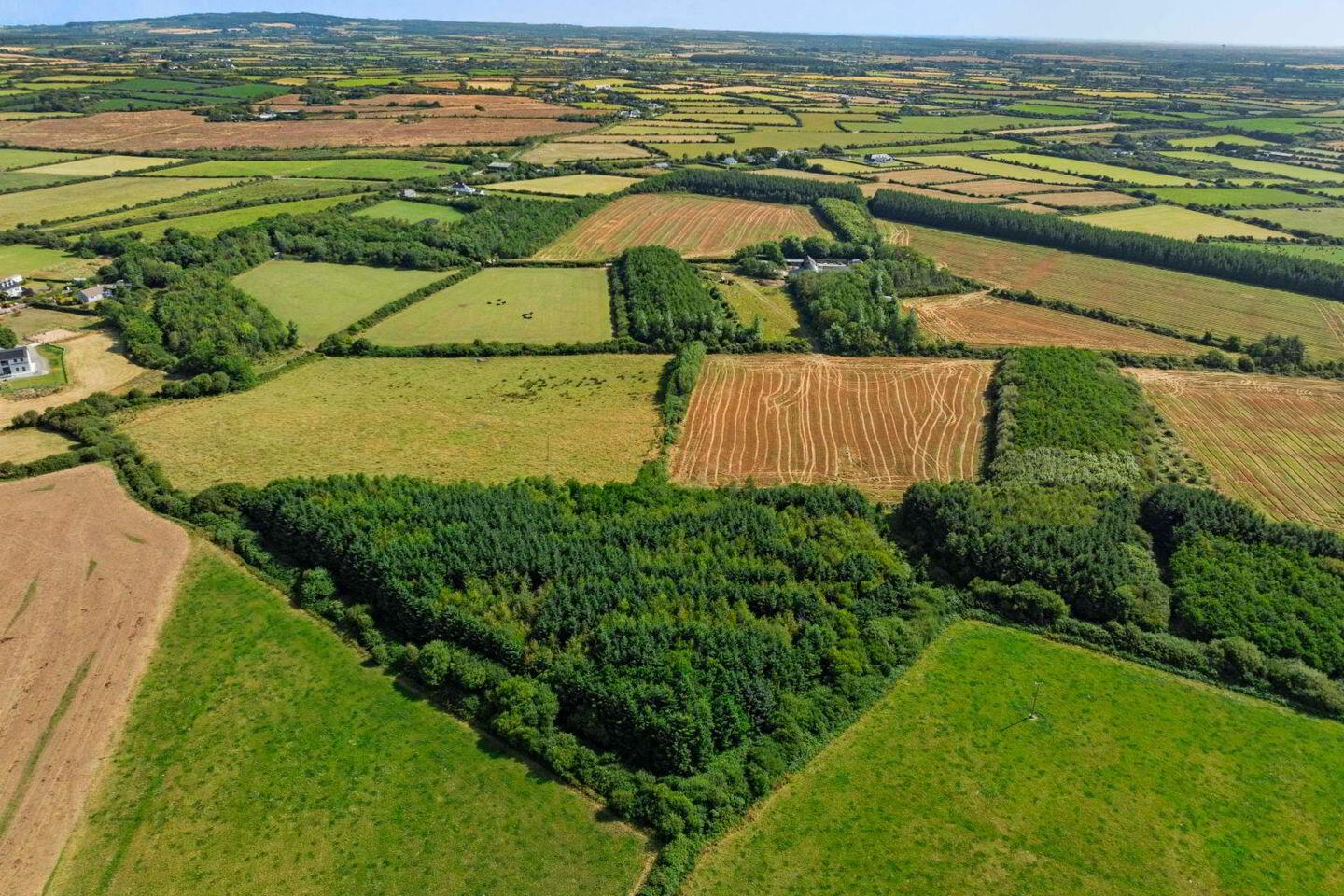 C. 8.78 Hectares (21 12 of 12