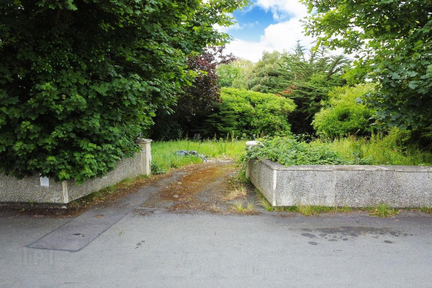 4b Kitestown Road 8 of 9