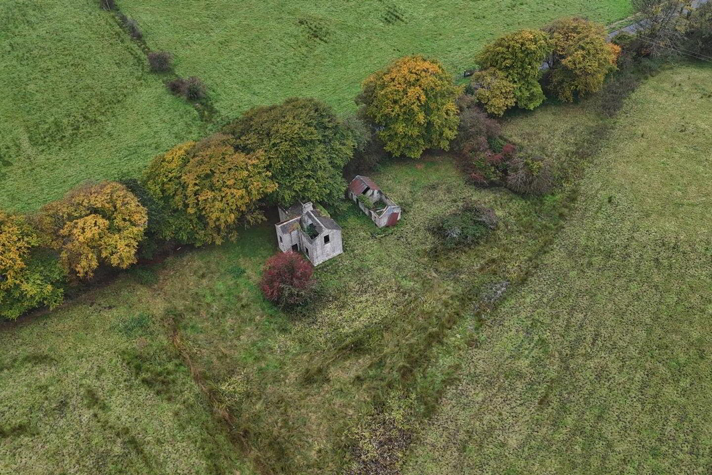Kilmurry 13 of 14