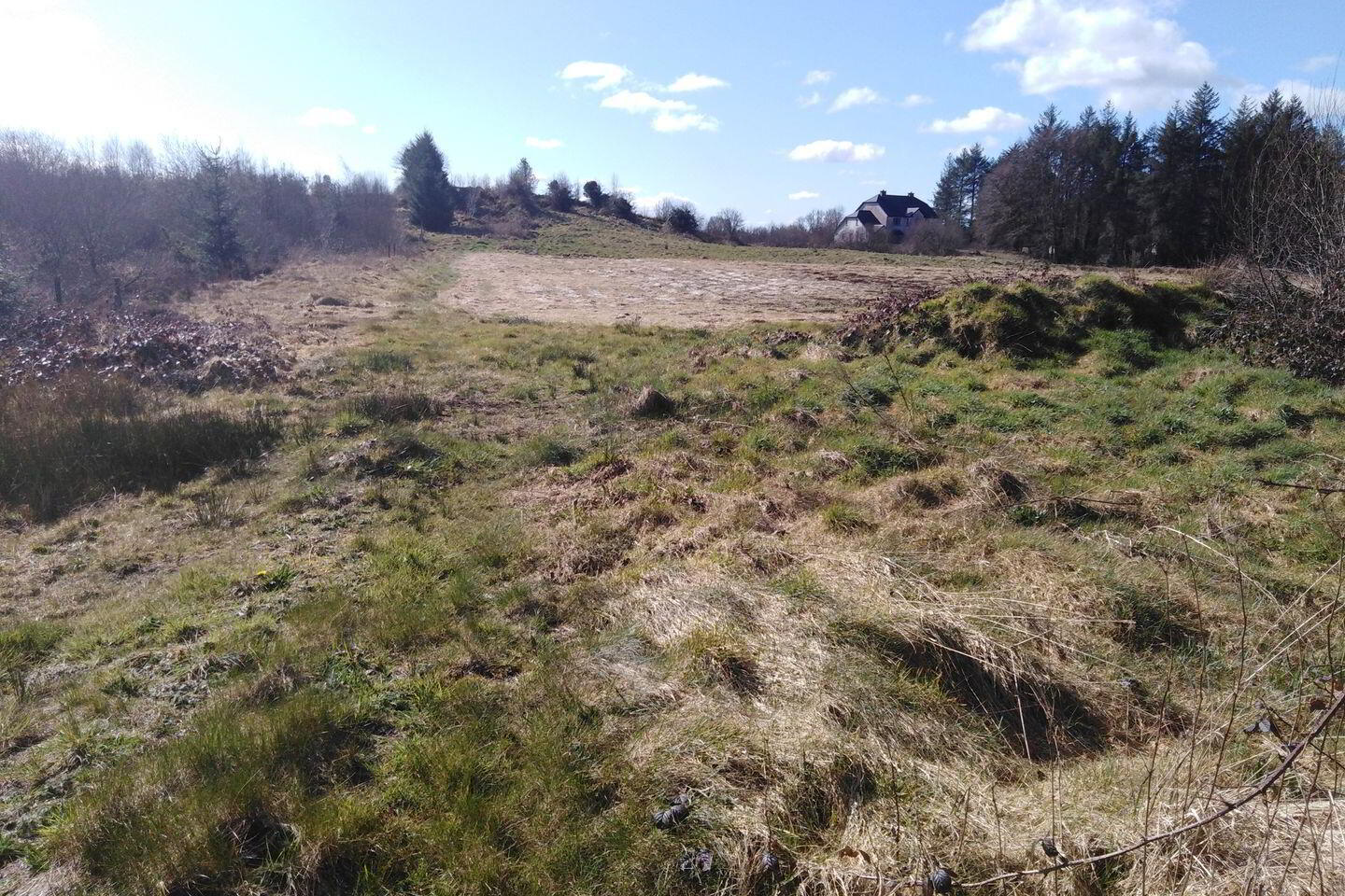 Culmore 7 of 7