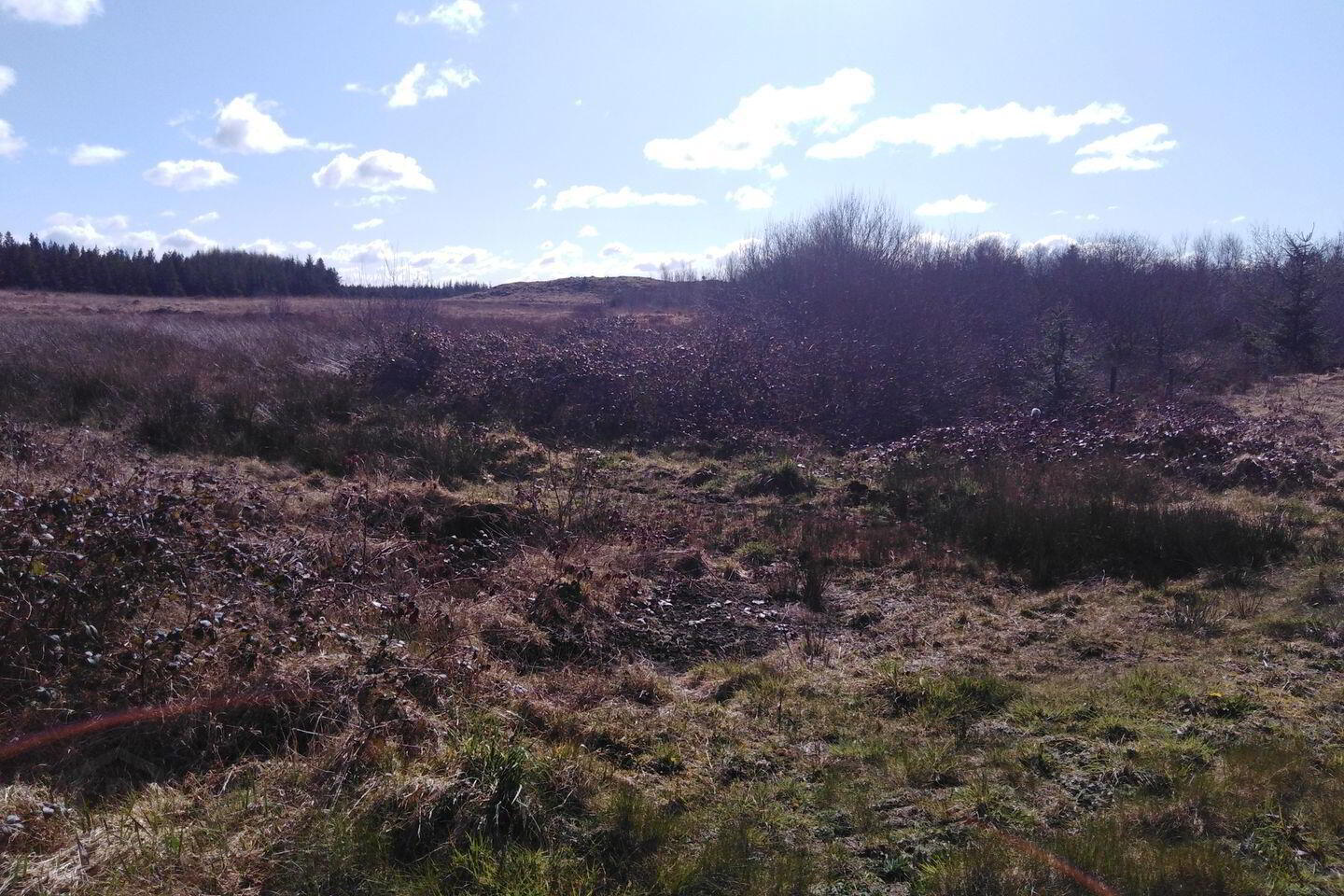 Culmore 6 of 7