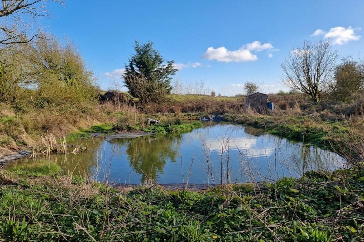 C.1.72 Acres With Stables Mist Haven Stud 26 of 27