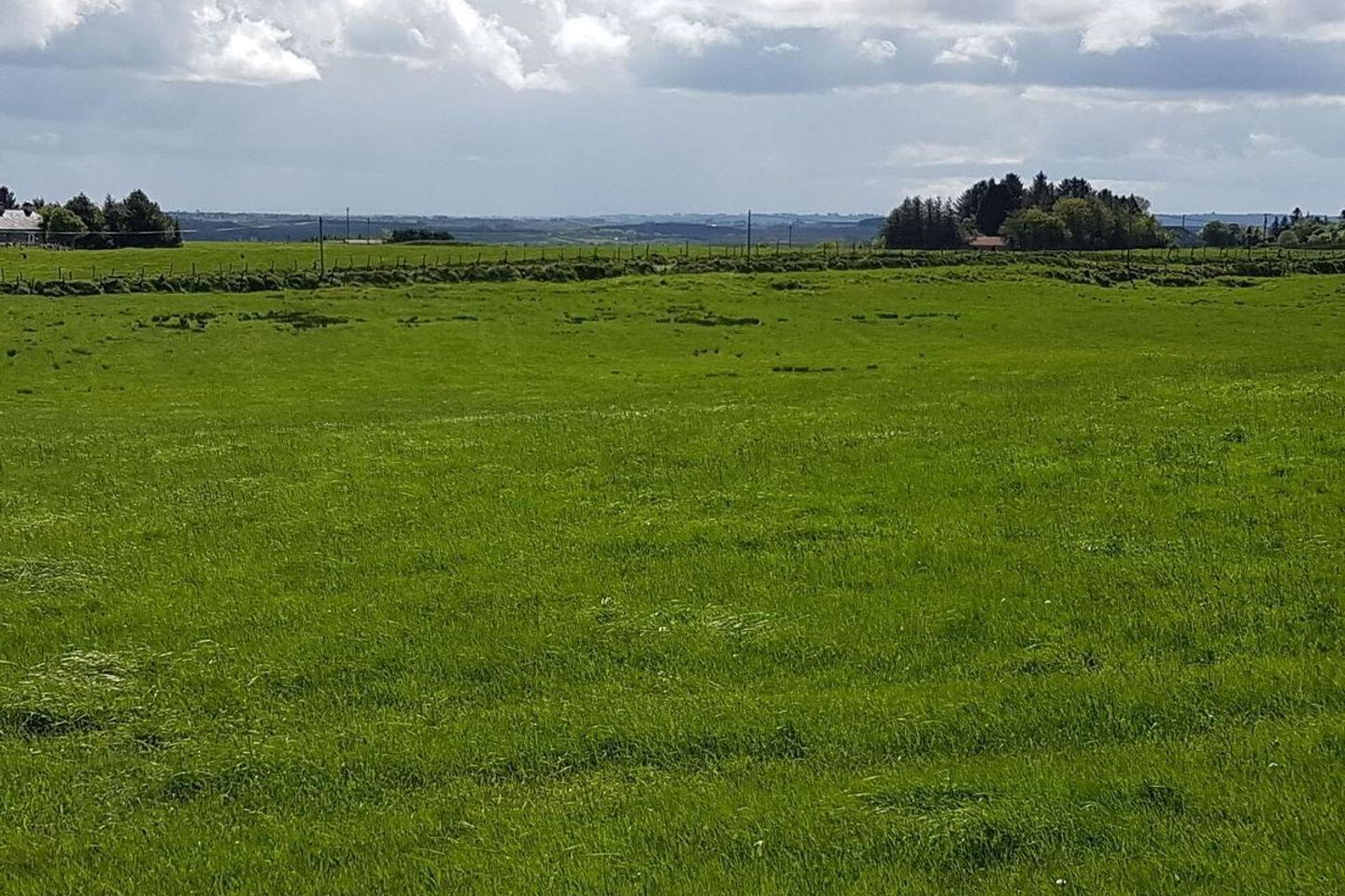 The Plains 6 of 6