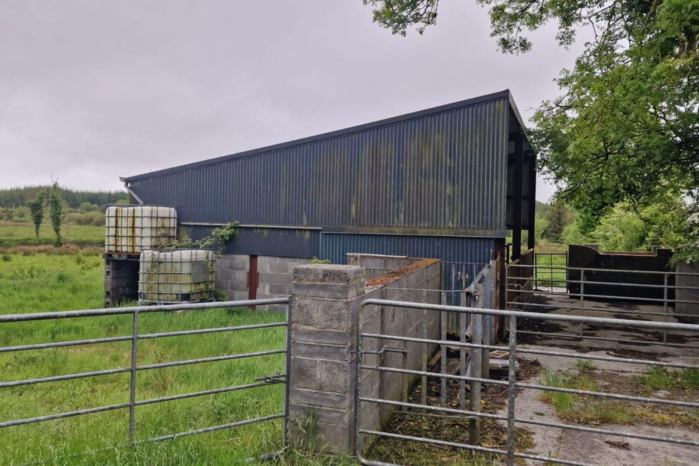 C.1.877 Acres And Shed Moorfield 7 of 7