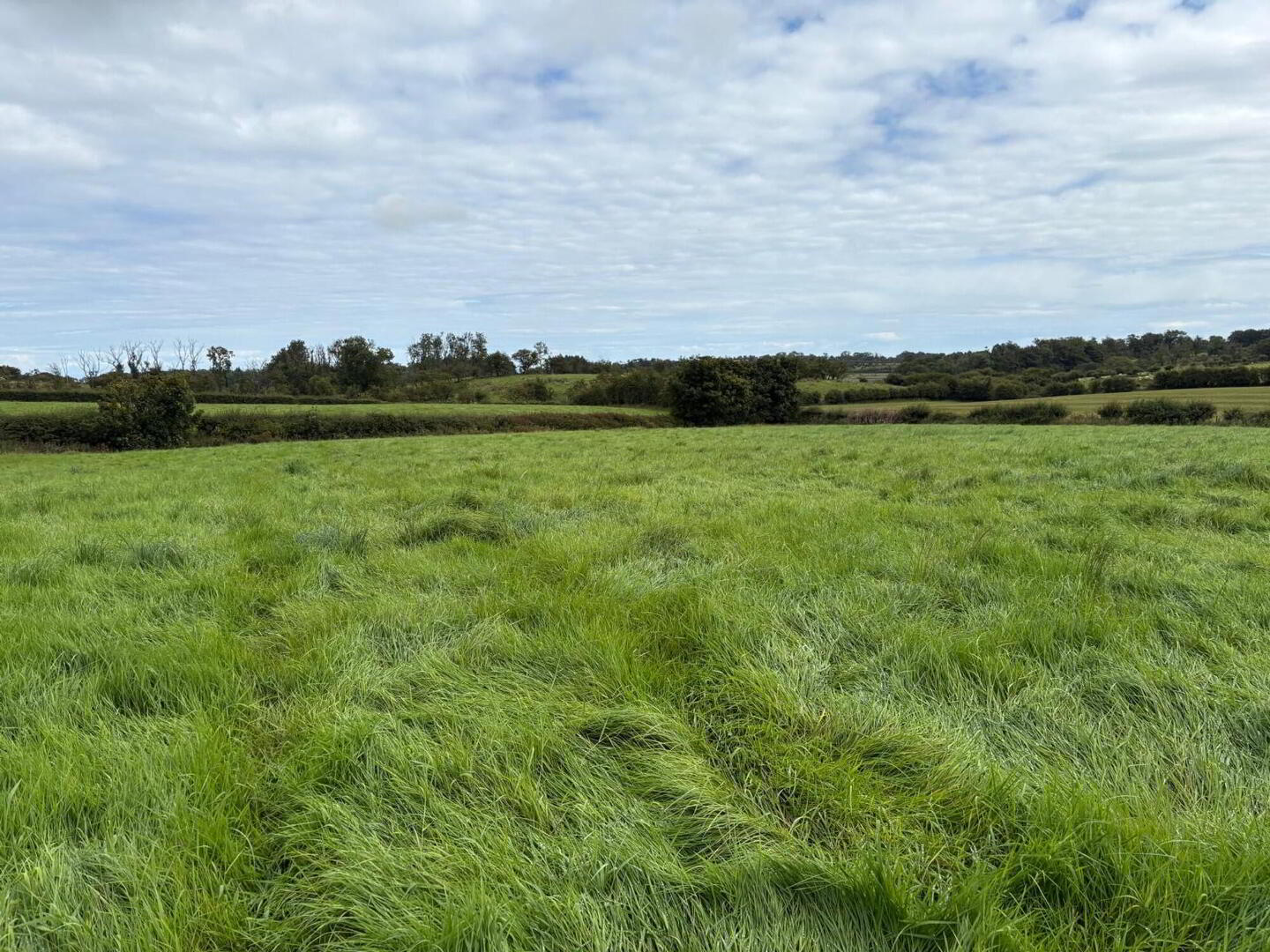 Loughmourn Road 1 of 4