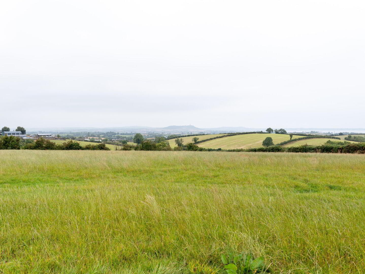 16 Quarry Road 49 of 50