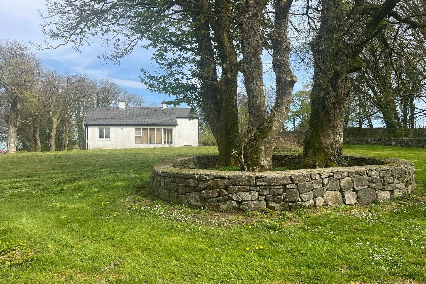 Ryehill 45 of 45