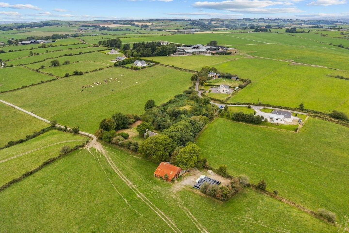 Bauerleigh 6 of 7