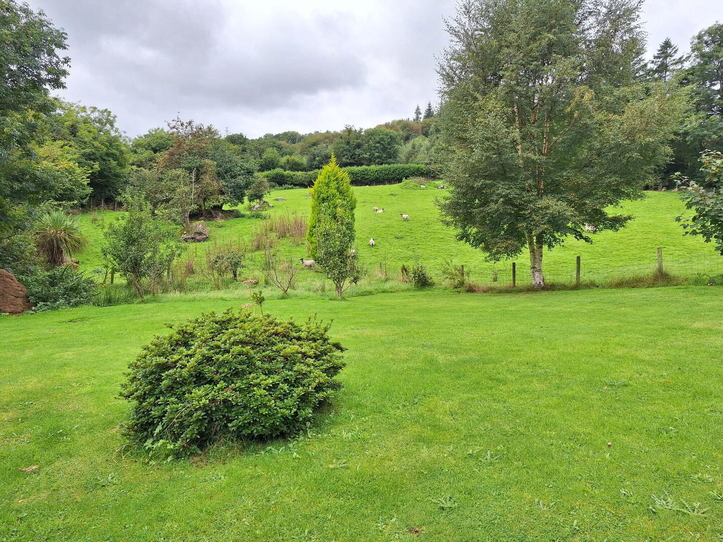 148 Knocknacarry Road 17 of 18