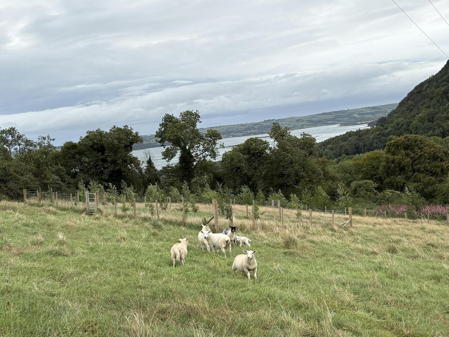 Jubilee Farm, 50 Glenburn Road 5 of 6