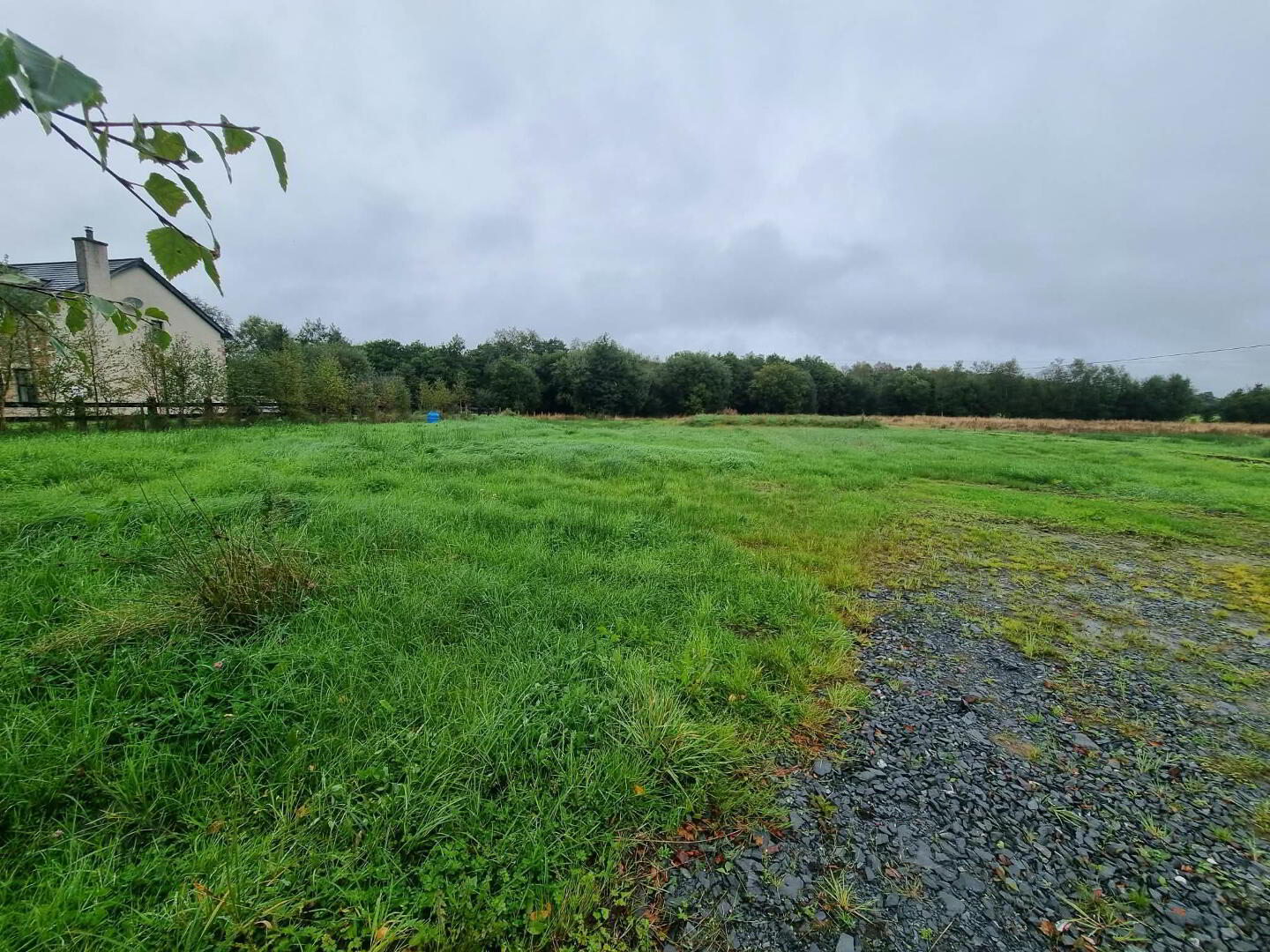 Site With FPP Acres 2 of 6